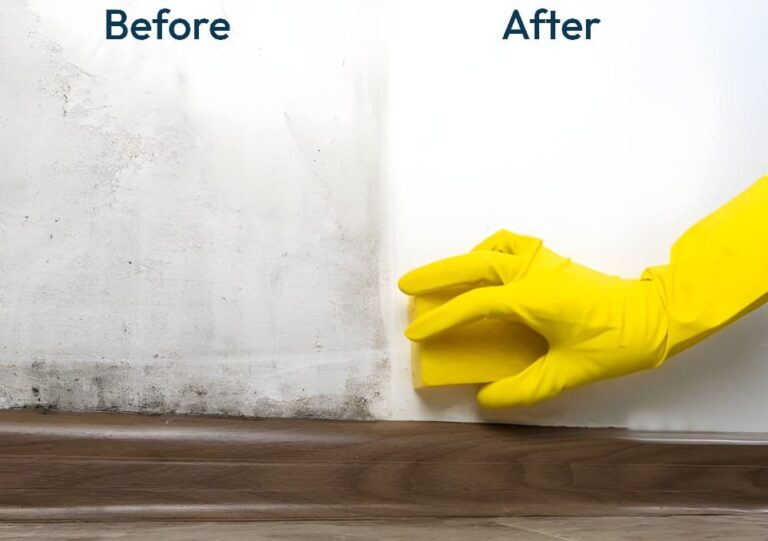 before and after using mold removal spray