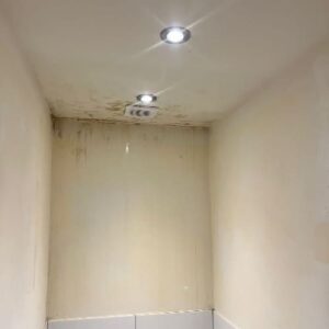 mold-on-ceiling-after-500x500