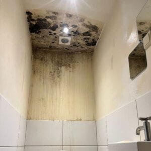 mold-on-ceiling-before-500x500