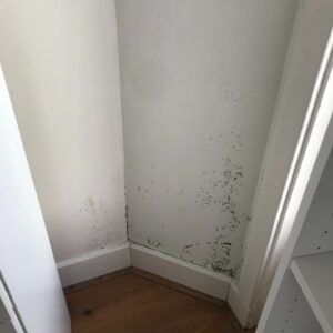 mold-on-wall-before-500x500