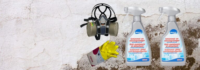 mold removal set to clean walls with mask, gloves and mold cleaner