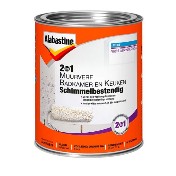 anti mold paint