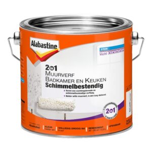 mold resistant paint